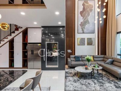 Elevating Living Spaces: Cibes Home Lifts in Park City Gated Villa